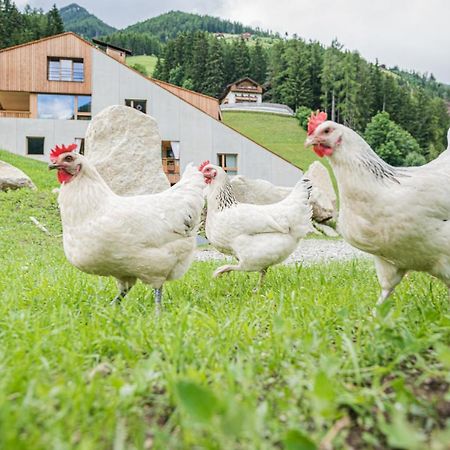Koasa-Hof Ganzes Ferienhaus Und Sauna 5 Zimmer 240Mq Cadipietra Eksteriør billede